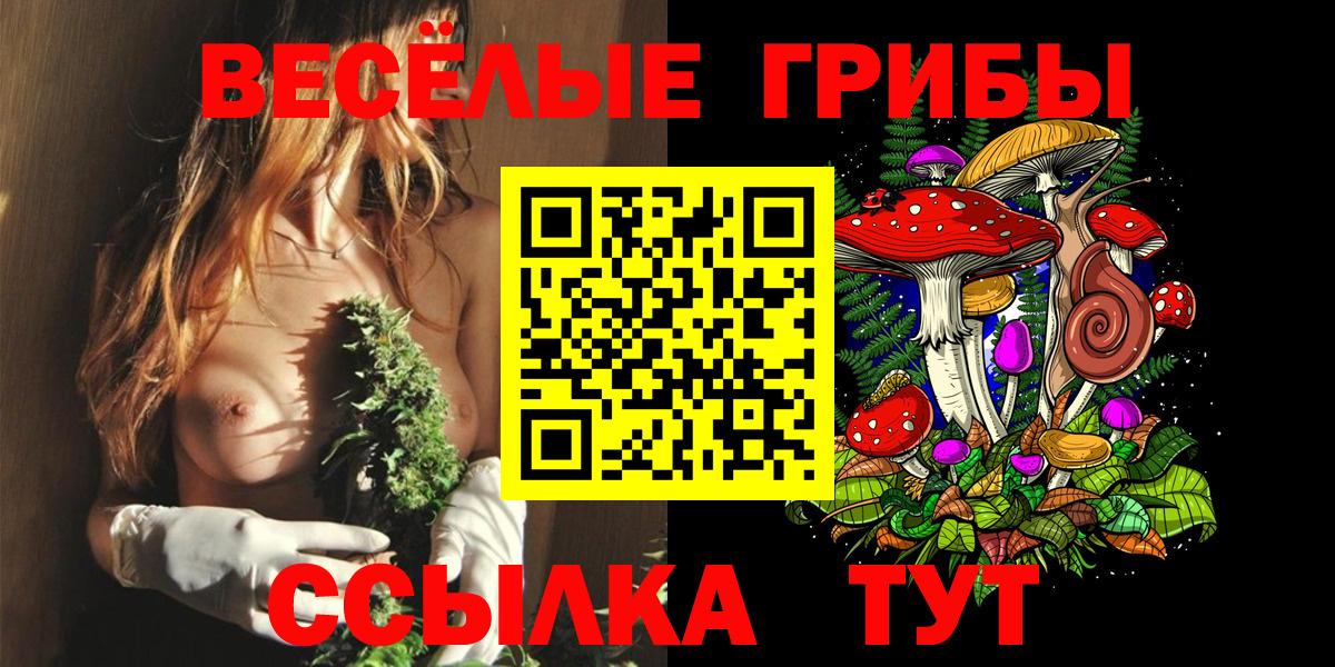 Бузулук  Галлюциногенные грибы GOLDEN TEACHER  Вход с VPN 