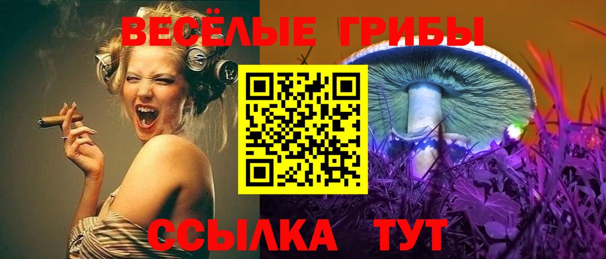 Псилоцибиновые грибы прущие грибы Бузулук